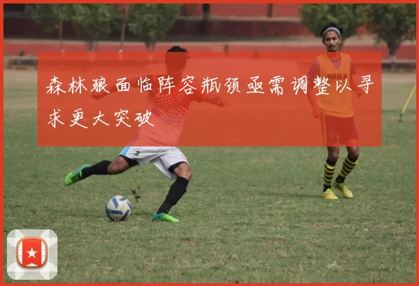 森林狼面临阵容瓶颈亟需调整以寻求更大突破